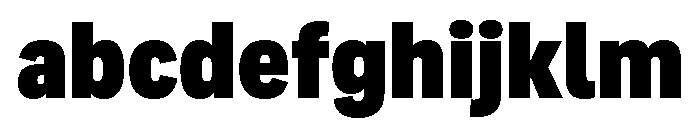 Adapt NarrowBlack FONT