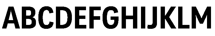 Adapt NarrowBold Font UPPERCASE