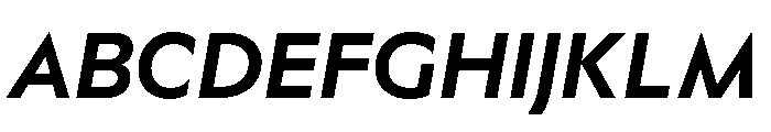 Adjunct Bold Italic Font UPPERCASE
