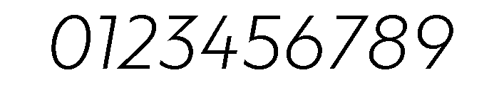 Adjunct Light Italic Font OTHER CHARS