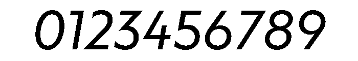 Adjunct Regular Italic Font OTHER CHARS