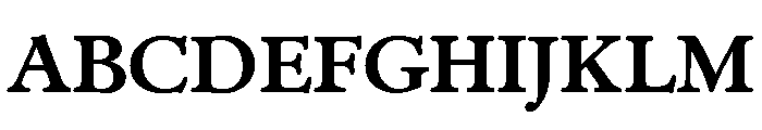 Administer Bold Font UPPERCASE