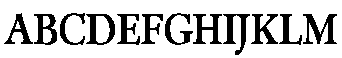 Administer Condensed Bold Font UPPERCASE