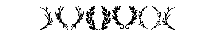 Adorn Design Elements Ornaments Font OTHER CHARS