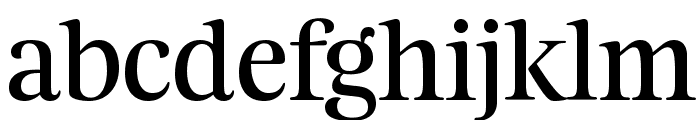 Feijoa Display Font LOWERCASE