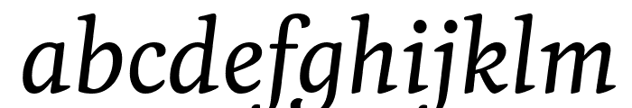 Feijoa MediumItalic Font LOWERCASE