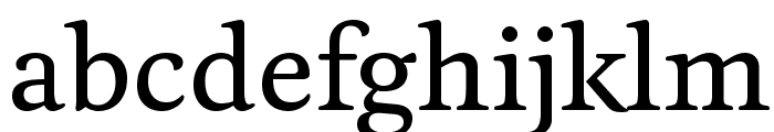 Feijoa Medium Font LOWERCASE