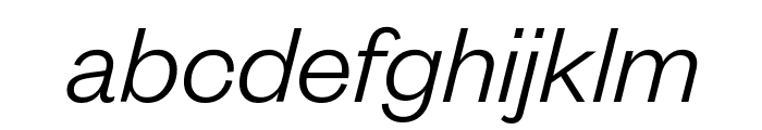 FoundersGrotesk LightItalic Font LOWERCASE