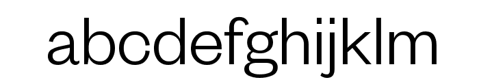 FoundersGrotesk Light Font LOWERCASE
