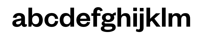 FoundersGrotesk Medium Font LOWERCASE