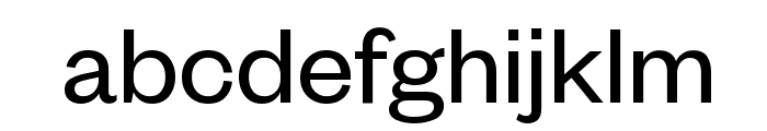 FoundersGrotesk Regular Font LOWERCASE