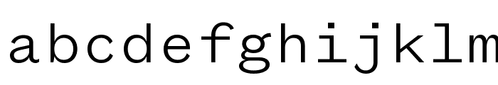FoundersGroteskMono Light Font LOWERCASE