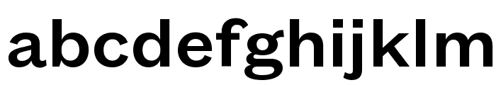 FoundersGroteskText Medium Font LOWERCASE