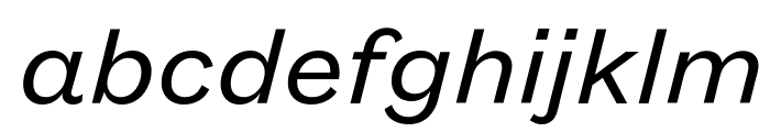FoundersGroteskText RegularItalic Font LOWERCASE