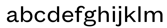 FoundersGroteskText Regular Font LOWERCASE