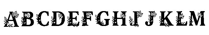 Aftab Regular FONT