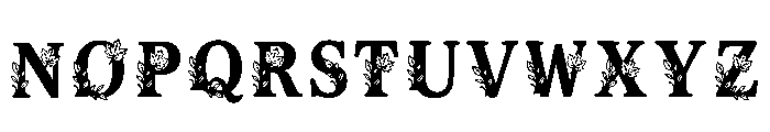 Aftab Regular Font LOWERCASE