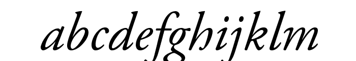 AGaramondPro-Italic Font LOWERCASE