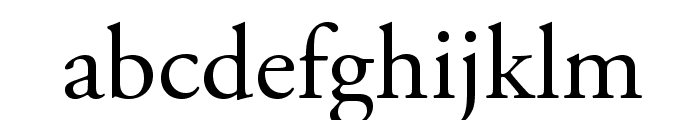 AGaramondPro-Regular Font LOWERCASE