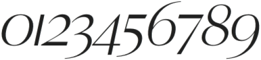 AGORA Italic otf (400) Font OTHER CHARS