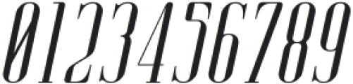 AgueroSerifRounded-Italic otf (400) Font OTHER CHARS
