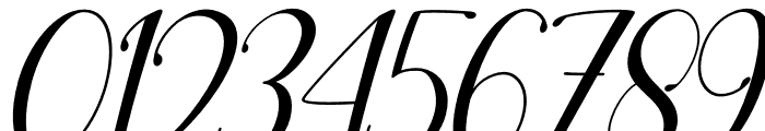 Agilia Italic Font OTHER CHARS