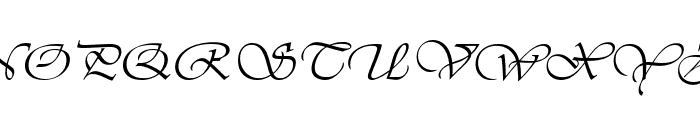 Agnez Lovely Italic Font UPPERCASE