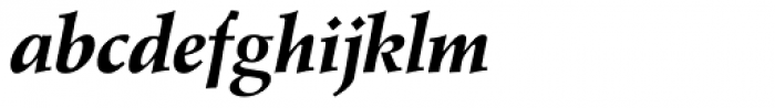 Agfa Wile Roman Bold Italic Font LOWERCASE