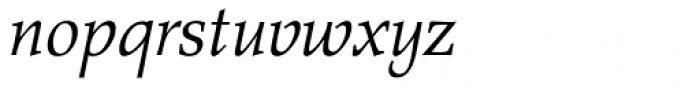 Agfa Wile Roman Italic Font LOWERCASE