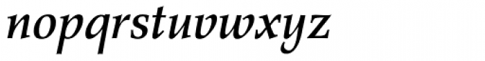 Agfa Wile Roman Medium Italic Font LOWERCASE