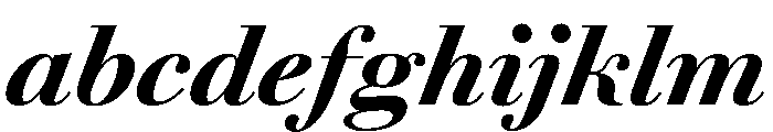 Agatha BlackItalic 28003c7e FONT