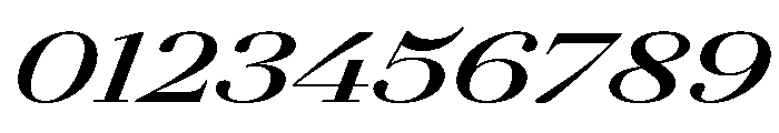 AgathaItalicVAR UltraExpandedBoldItalic Instance Font OTHER CHARS