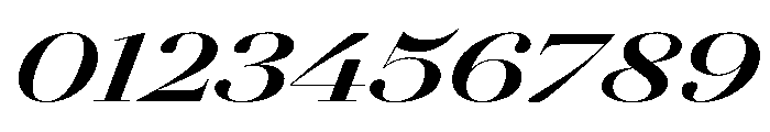 AgathaItalicVAR UltraExpandedExtraBoldContrastItalic Instance Font OTHER CHARS