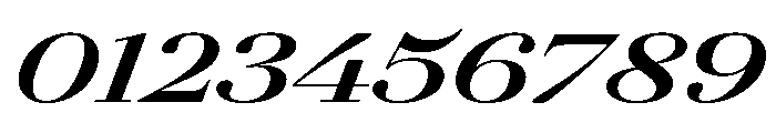 AgathaItalicVAR UltraExpandedExtraBoldItalic Instance Font OTHER CHARS