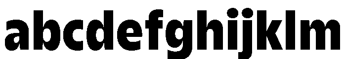 AgenaDisplay NarrowBlack FONT