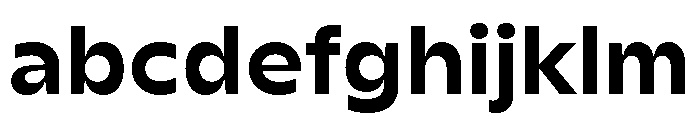 AgenaDisplay WideBold FONT