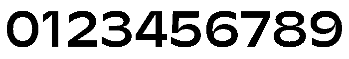 AgenaDisplay WideMedium Font OTHER CHARS