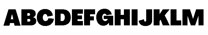 Agrandir Narrow Variable 13 Font UPPERCASE