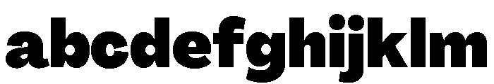 Agrandir Normal Variable 13 FONT