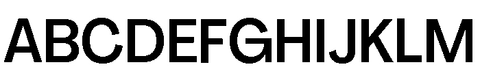 Agrandir Variable 19 Font UPPERCASE