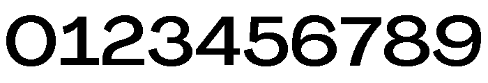 Agrandir Variable 43 Font OTHER CHARS