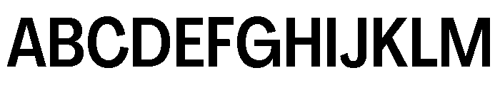 Agrandir Variable 7 Font UPPERCASE