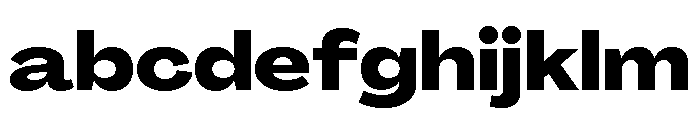 Agrandir Wide Variable 11 FONT