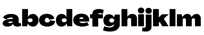 Agrandir Wide Variable 13 FONT