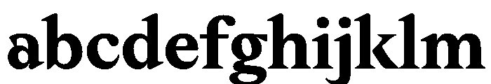 Aguzzo TRIAL Bold Instance FONT