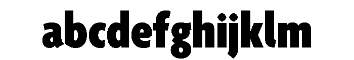 Agenda One Condensed Black FONT