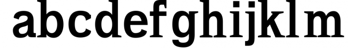 Ahijah A Clean Minimal Serif Typeface Font LOWERCASE
