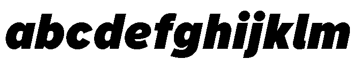 Akzidenz Grotesk Next Heavy Italic FONT