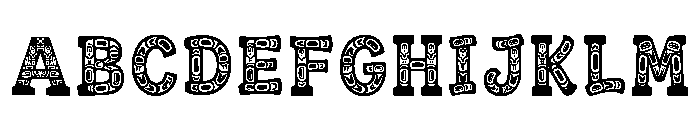 Akif Regular Font UPPERCASE