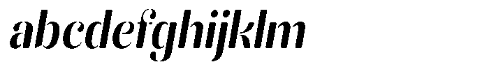 Akisan Round Bold Condensed Slant FONT